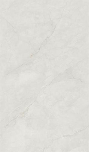 13003-新魚(yú)肚灰